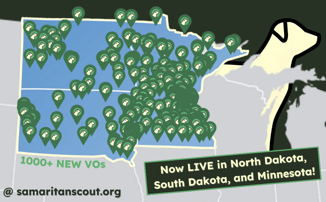 How to Volunteer in the Twin Cities
